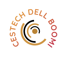 CESTECH DELL-BOOMI